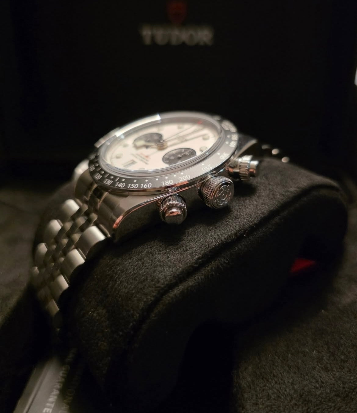 Tudor Flamingo white