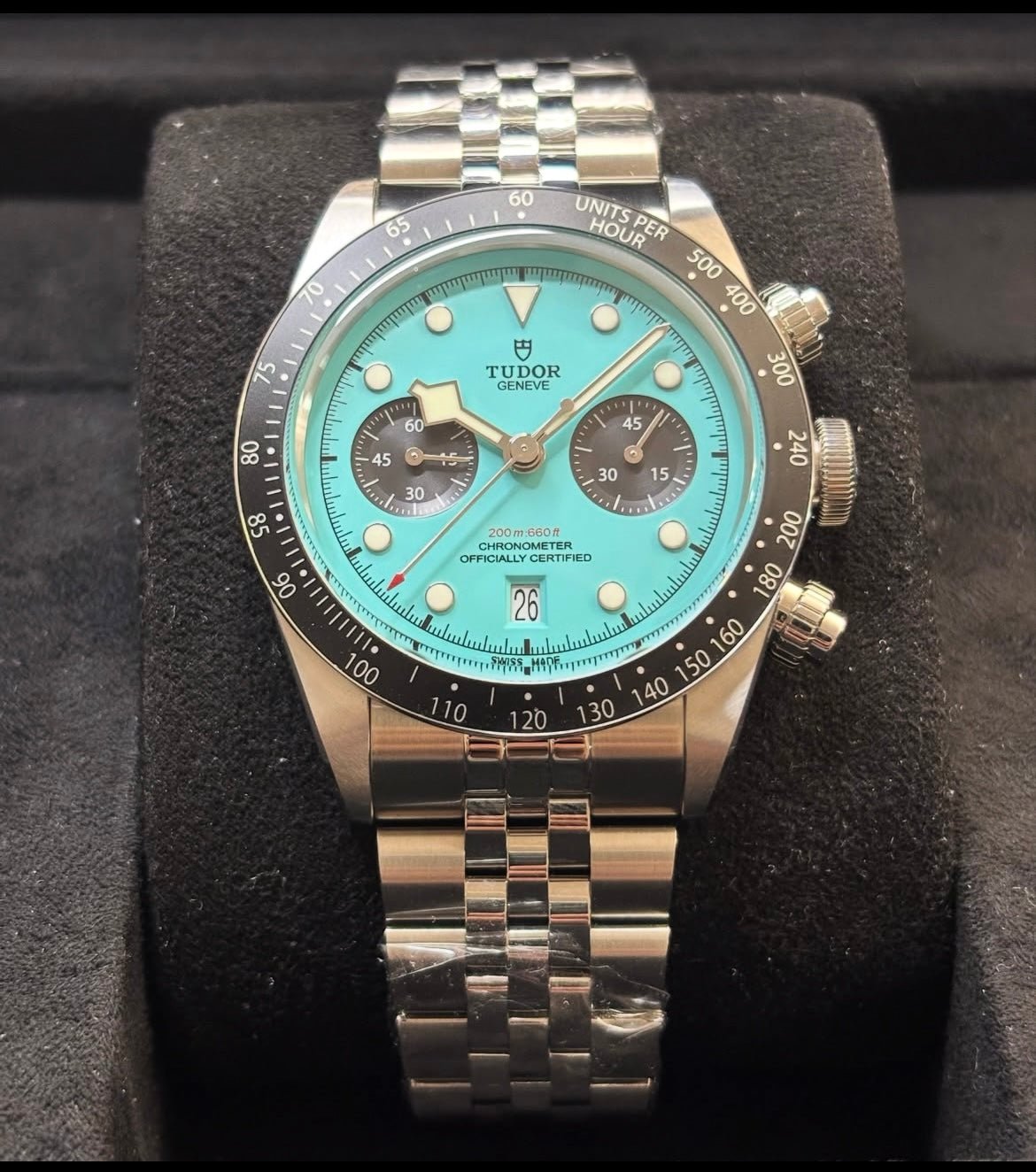 Tudor Flamingo tiffany