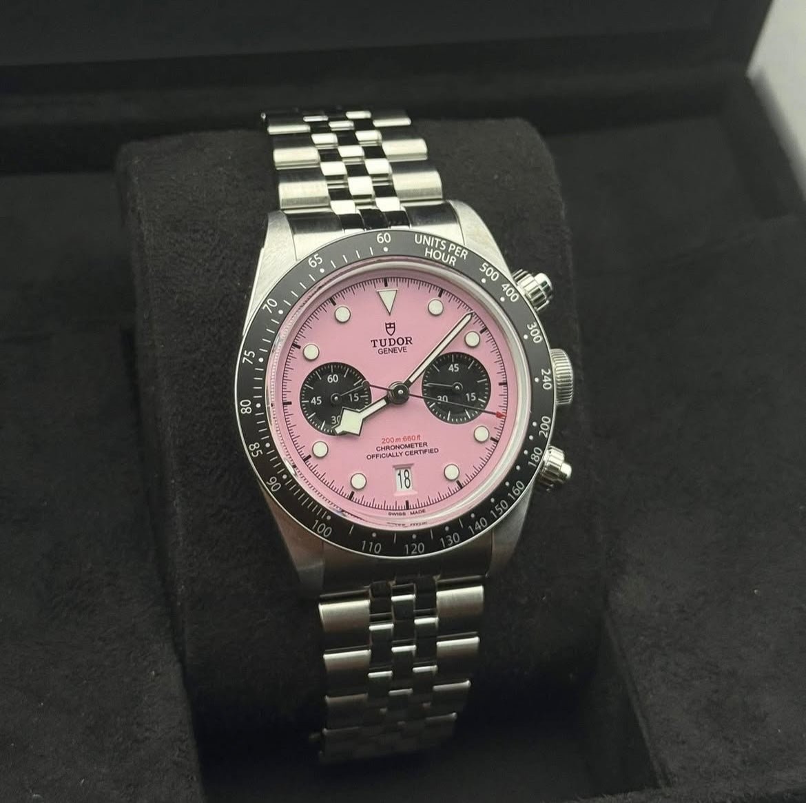 Tudor Flamingo pink